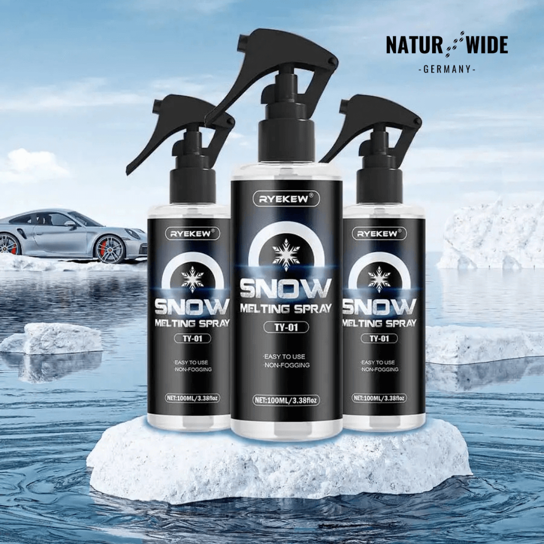 Enteiser-Spray fürs Auto, 100 ml – Ansicht 2